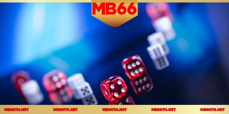 ไฮโล MB66 - คู่มือฉบับสมบูรณ์ เล่นง่าย ได้เงินจริง